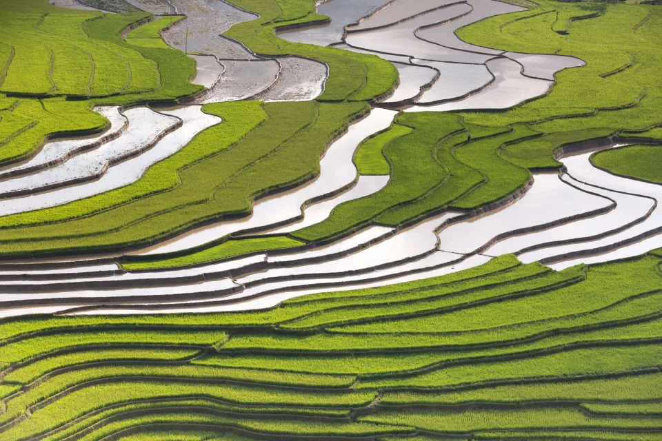 Kho gạo của Đỗ Thành Danh